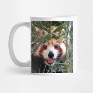 Red Panda Mug